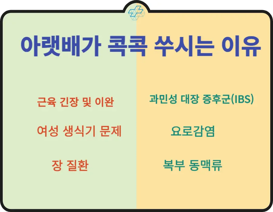 배가 콕콕 쑤셔요~ 아랫배 통증이 있나요? 윗배 통증이 있나요? 배가 콕콕 쑤시는 느낌을 부위별로 정리했습니다. 기분 나쁜 그 증상이 어떤 증상인지 확인해 보시기 바랍니다.