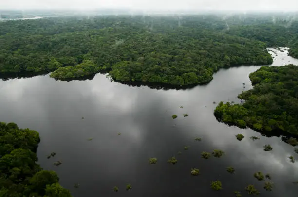 타히보 효능이 타베트리 추출물에 들어있는 성분때문인데요~~그 성분에는 항암과 항염, 관절과 연골, 면역, 심지어 체중관리까지 도움을 줄 수 있다는 거 아셨나요? 또한 부작용과 주의사항도 함께 확인해 보세요~