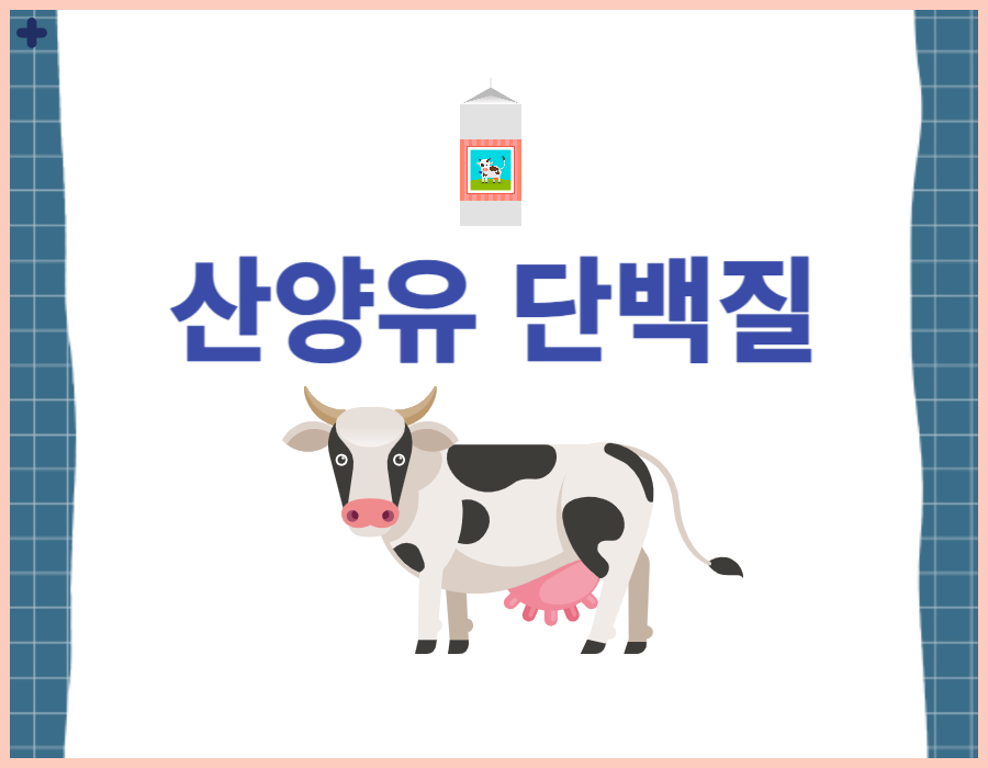 산양유 단백질 효능, 부작용, 산양유초유단백질, 하루권장량