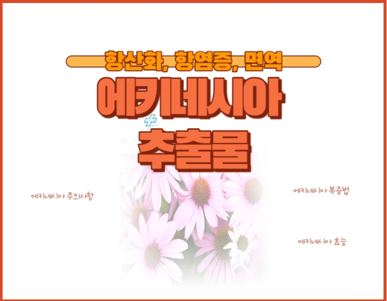 에키네시아 효능을 아시나요? 에키네시아는 면역력과 감기에 매우 좋다고 알려져 있습니다. 호흡기에 좋은 허브라해서 이미 알고 있는 사람들은 많이 접하고 있는데요~ 권장량과 장기적으로 복용해도 가능한지 확인해 보시기 바랍니다.