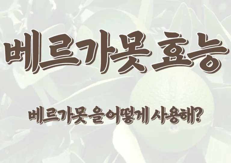 베르가못 효능과 부작용 및 사용법을 확인하시고 베르가못 효능 중에 다이어트와 공복혈당, 콜레스테롤 등 다양하게 도움을 줍니다. 이탈리아 사람들의 건강 비결은 무엇일까요? 바로 지중해 식단입니다. 이탈리아는 세계 건강 국가 지수에서 1위를 차지할 만큼 건강한 나라로 알려져 있습니다. 그 중심에는 베르가못이 자리 잡고 있죠. 이 글에서는 지중해 식단의 핵심인 베르가못의 다양한 건강 효능과 주의점에 대해 알아보겠습니다.