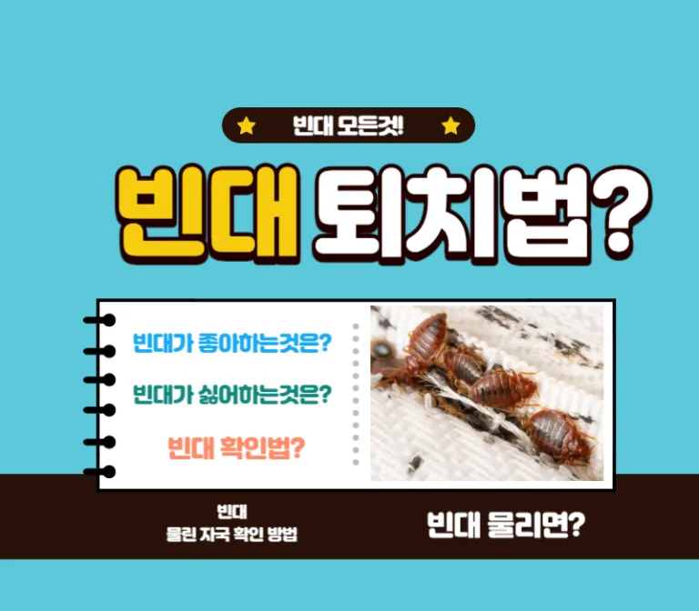 빈대 모든것! 빈대 퇴치법, 빈대 예방법, 빈대가 좋아하는것, 빈대가 싫어하는것, 빈대 물리면?