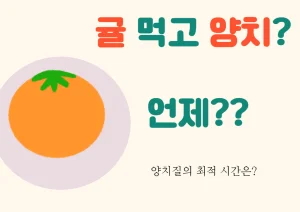 귤먹고 양치 언제 가능할까? 상큼한 귤을 맛나게 먹고, 바로 칫솔을 들고 양치 준비를 하시나요? 잠깐만요! 치아 건강을 위해 꼭 알아야 할 귤 후 양치질의 숨겨진 진실에 대해 알려드립니다. 참고하시기 바래요~