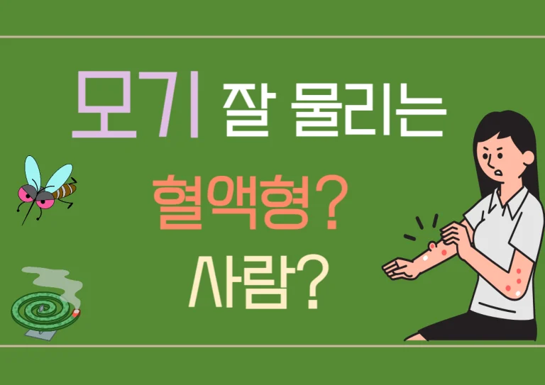 모기 잘 물리는 혈액형과 사람이 따로 있을까? 모기에 잘 물리는 혈액혈? 사람들? 왜 그런 걸까요? 우리가 느끼기엔 모기가 특히나 나를 좋아하는 것 같다고 생각할 때가 많죠. 그런데 사실, 모기는 특정 사람들을 더 선호하는 이유가 있답니다. 모기에 잘 물리는 사람들의 특징과 그 이유를 하나하나 살펴볼까요?