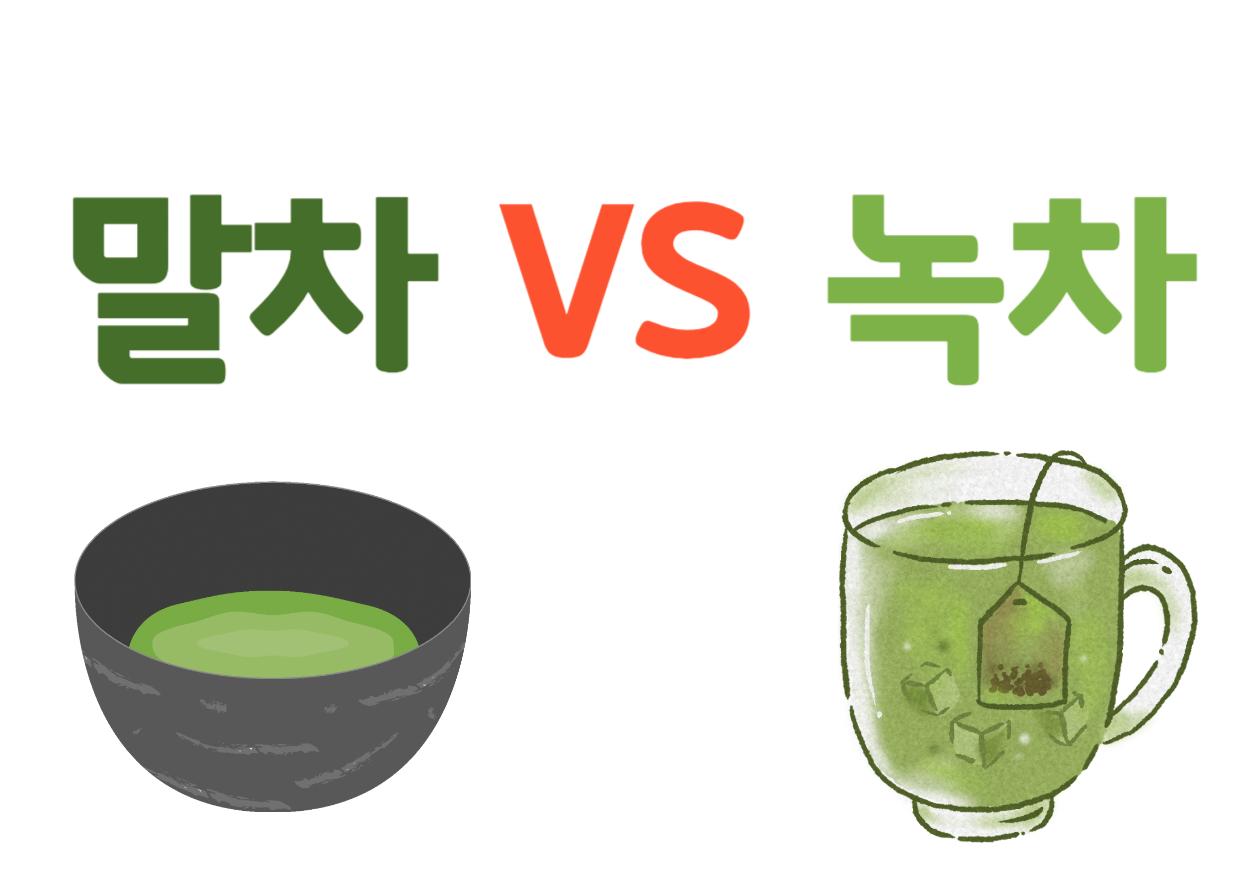 말차 녹차 차이! 카페인? 다이어트? 효능?