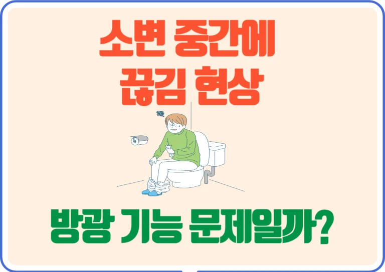 소변 중간에 끊김 현상 방광 기능 문제일까? 혹시 소변을 보는 중간에 갑자기 흐름이 멈추는 경험을 해보신 적 있나요? 가끔은 그럴 수 있지만, 자주 반복된다면 방광 건강에 신경을 써야 할 때일 수 있어요. 오늘은 그 원인부터 해결 방법까지, 쉽게 알려드릴게요!
