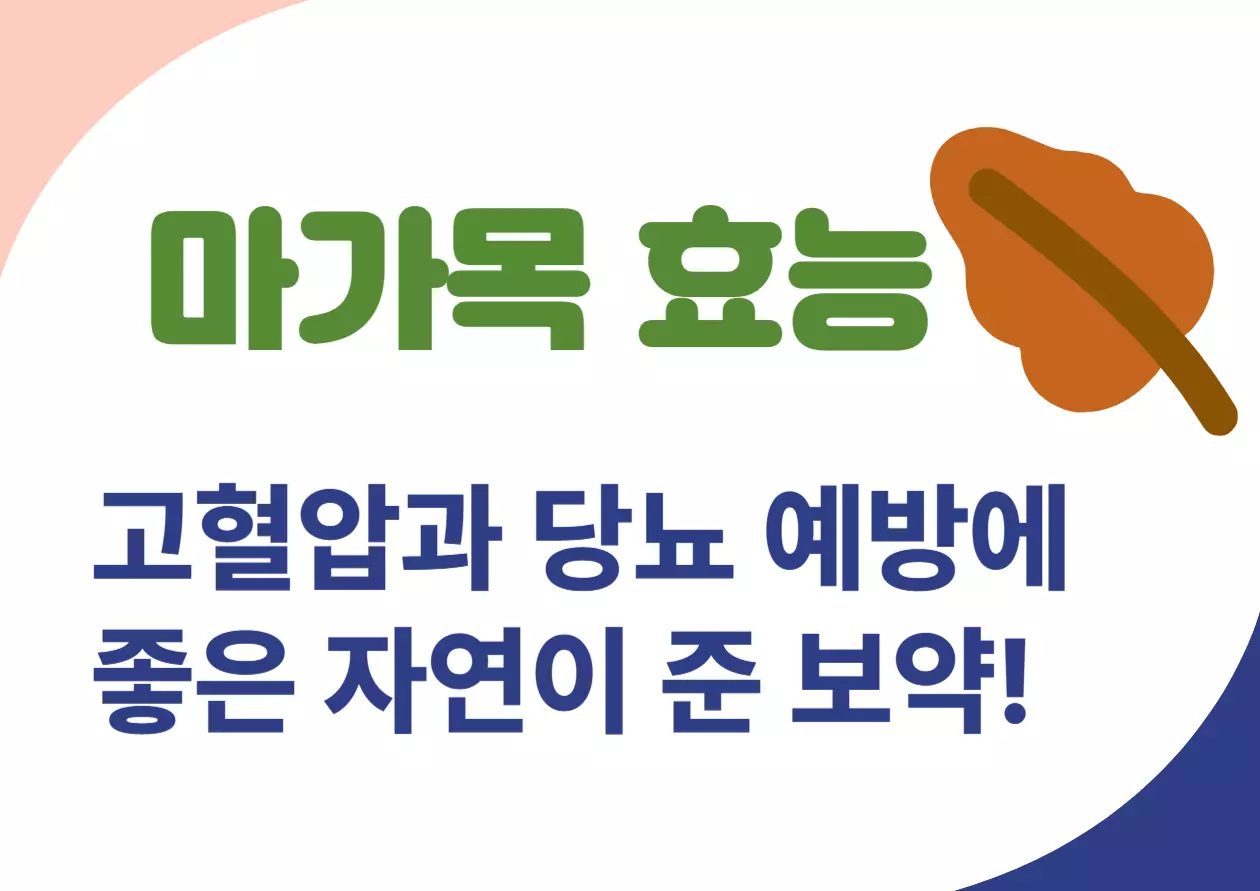 마가목 효능! 고혈압과 당뇨 예방에 좋은 마가목! 자연이 준 보약! 가을 산에서 붉게 익은 열매가 반짝이는 마가목, 이 나무가 면역력부터 혈압, 관절 건강까지 우리 몸에 이토록 큰 도움이 된다는 사실, 알고 계셨나요? 이번 글에서 마가목의 놀라운 건강 비밀을 함께 알아볼까요?