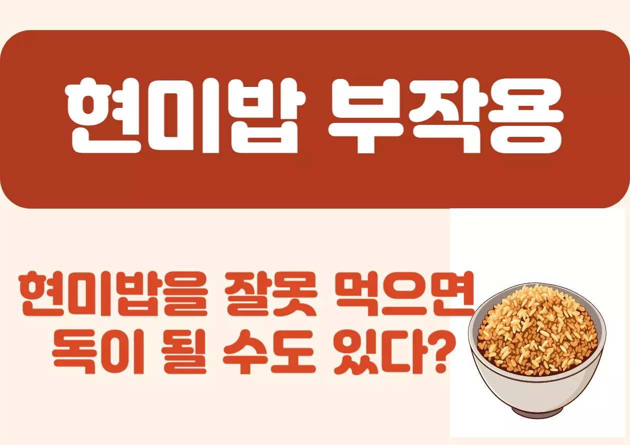 현미밥을 잘못 먹으면 독이 될 수도 있다? 현미의 숨겨진 부작용! 현미밥, 건강에 좋다고 많이들 드시죠? 특히 현미는 잘못된 섭취법이나 개인의 체질에 따라 오히려 건강에 해를 끼칠 수도 있다는 사실, 알고 계셨나요? 오늘은 현미밥이 가진 숨겨진 부작용과 그 원리, 그리고 현미를 건강하게 먹는 법까지 알려드릴게요.