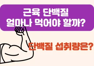 근육 단백질 얼마나 먹어야 할까? 단백질 섭취량은? 근육을 키우고 싶은데, “얼마나 많은 단백질을 먹어야 할까?”라는 질문은 필수입니다. 하지만 답은 간단하지 않아요. 왜냐하면 사람마다 체중, 운동 강도, 목표 등이 모두 다르기 때문이죠.