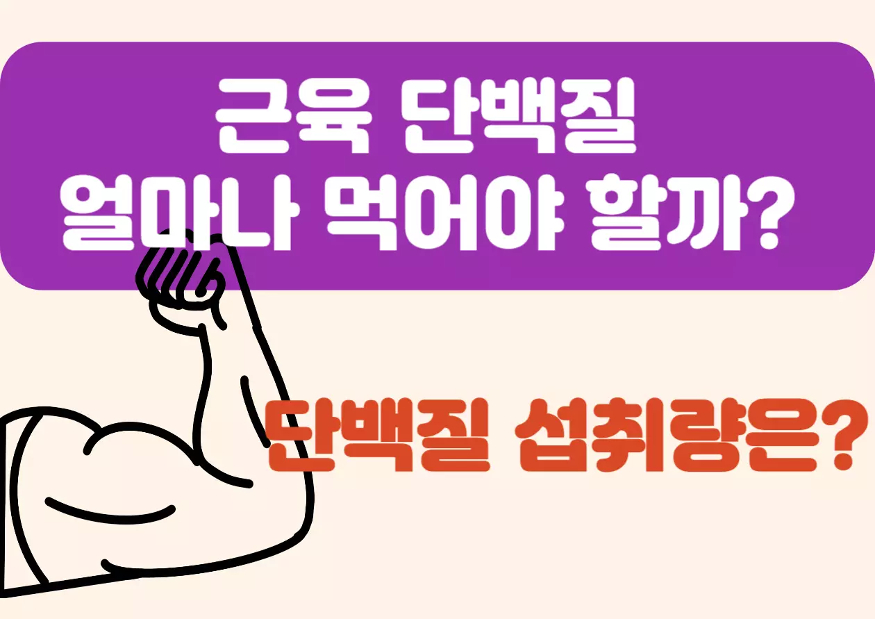 근육 단백질 얼마나 먹어야 할까? 단백질 섭취량은? 근육을 키우고 싶은데, “얼마나 많은 단백질을 먹어야 할까?”라는 질문은 필수입니다. 하지만 답은 간단하지 않아요. 왜냐하면 사람마다 체중, 운동 강도, 목표 등이 모두 다르기 때문이죠.