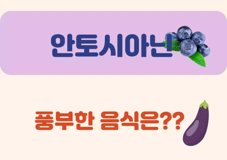 안토시아닌이 풍부한 음식은?? 눈 건강, 혈관 보호, 노화 방지까지! 자연이 선물한 강력한 항산화 성분 ‘안토시아닌’이 풍부한 식품에는 어떤 것들이 있을까요? 일상 속에서 쉽게 접할 수 있는 안토시아닌 가득한 식품들, 지금부터 하나씩 살펴볼까요