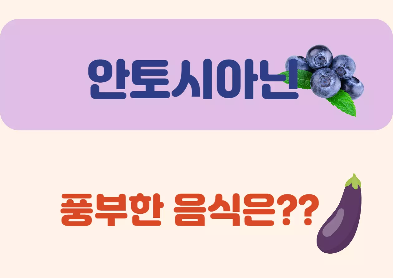안토시아닌이 풍부한 음식은?? 눈 건강, 혈관 보호, 노화 방지까지! 자연이 선물한 강력한 항산화 성분 ‘안토시아닌’이 풍부한 식품에는 어떤 것들이 있을까요? 일상 속에서 쉽게 접할 수 있는 안토시아닌 가득한 식품들, 지금부터 하나씩 살펴볼까요