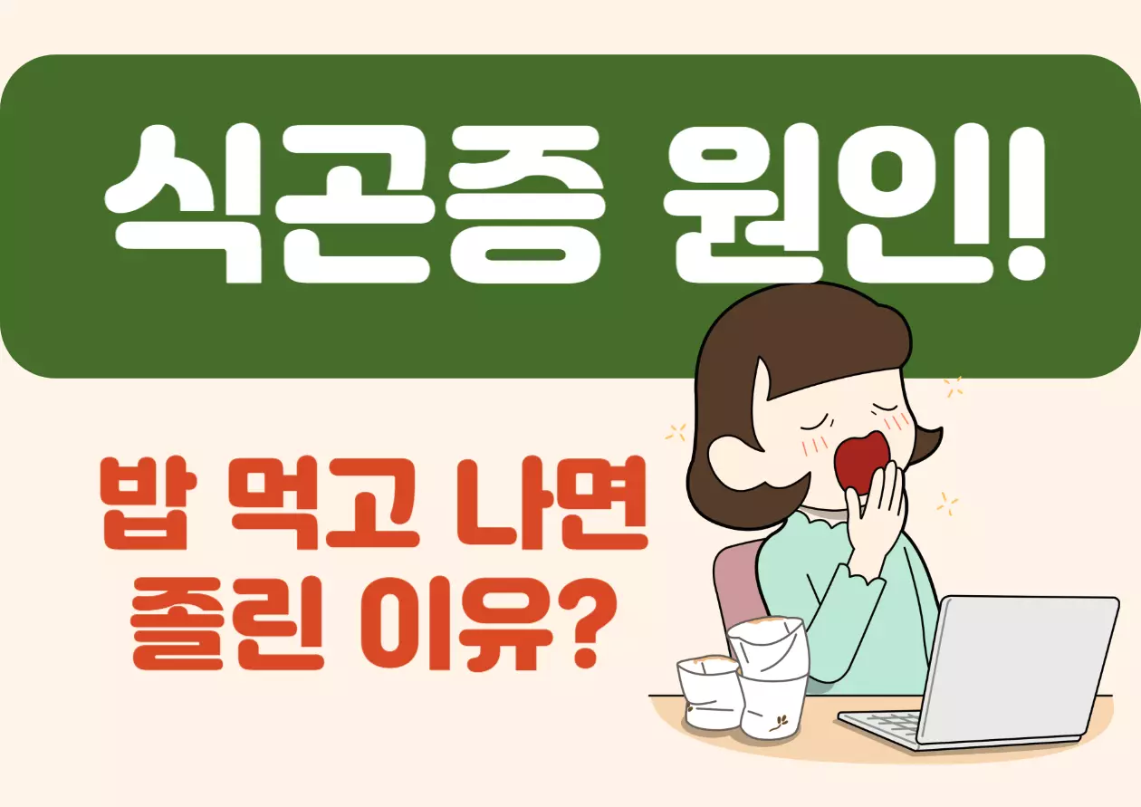 식곤증 원인! 밥 먹고 나면 졸린 이유? 밥 한 끼 맛있게 먹고 나서 갑자기 눈꺼풀이 무거워지고, 소파에 몸을 맡기고 싶어질 때가 있지 않나요? 이건 우리 모두가 한 번쯤 겪어본 일상 속 작은 미스터리예요. "왜 밥만 먹으면 이렇게 졸린 걸까?"라는 궁금증, 오늘은 밥 먹고 나면 졸린 이유! 식곤증에 대해서 자세히 알아볼게요!