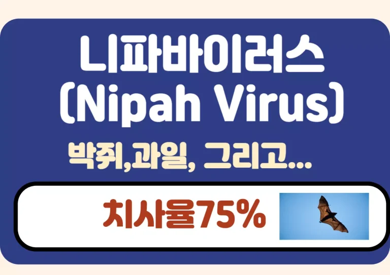 치사율 75% 강조와 박쥐 감염 연관성 시각화