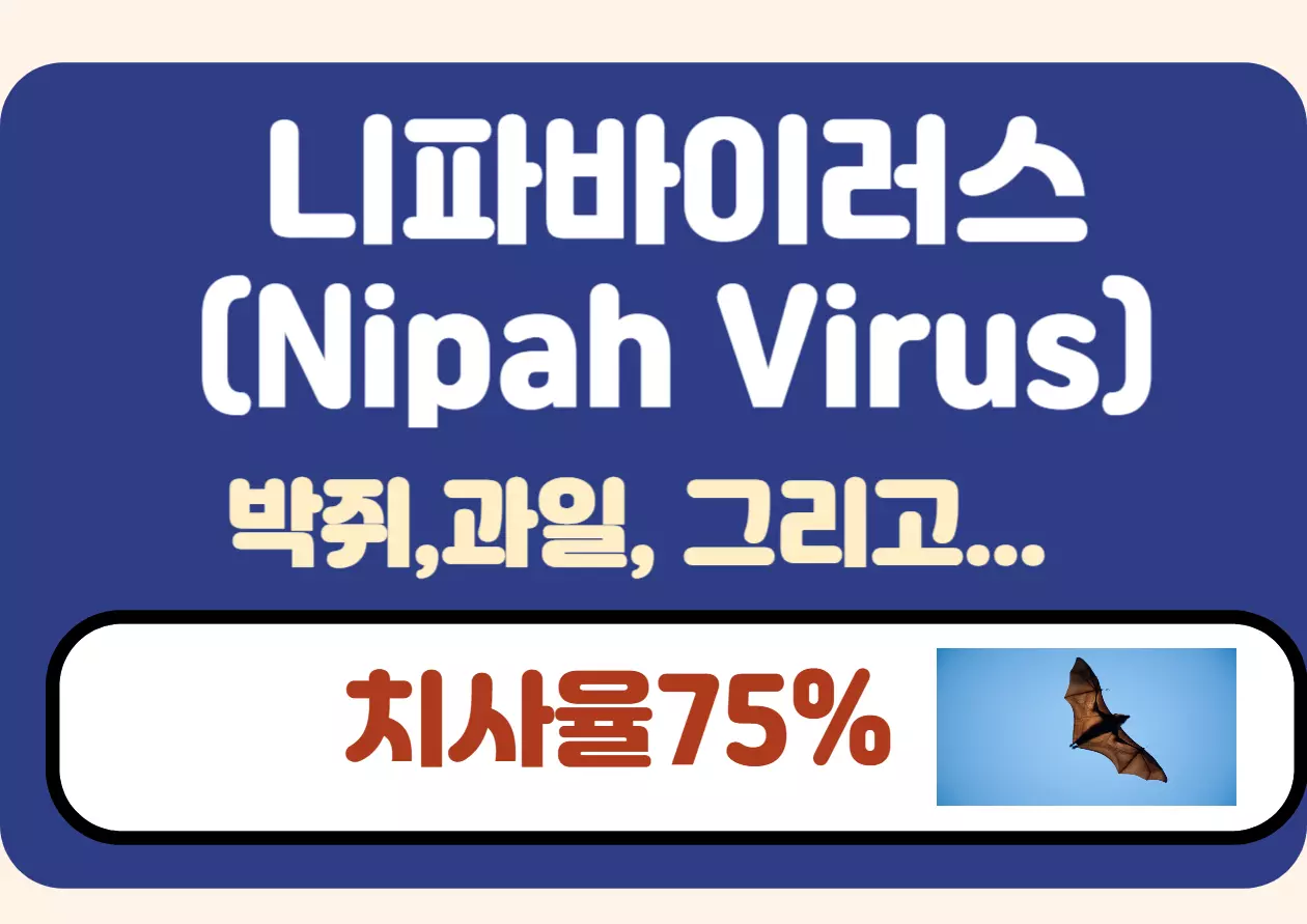 치사율 75% 강조와 박쥐 감염 연관성 시각화