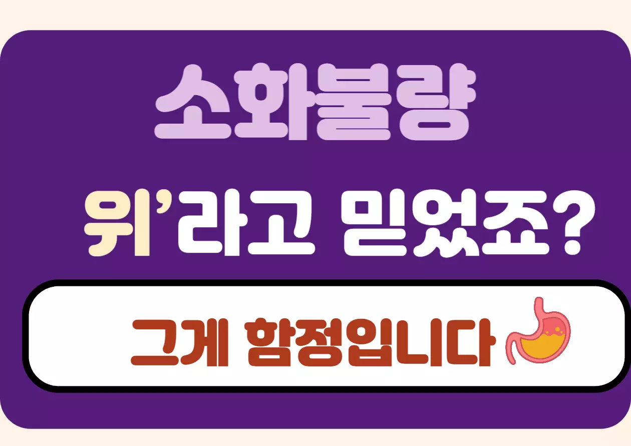 소화불량 위라고 믿었죠? 그게 함정입니다"라는 강렬한 문구와 위장 아이콘이 포함된 카드뉴스 이미지