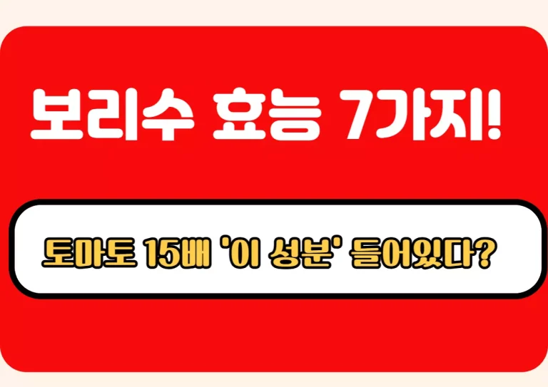“보리수 효능 7가지와 라이코펜 함량을 강조한 인포그래픽 썸네일 이미지”