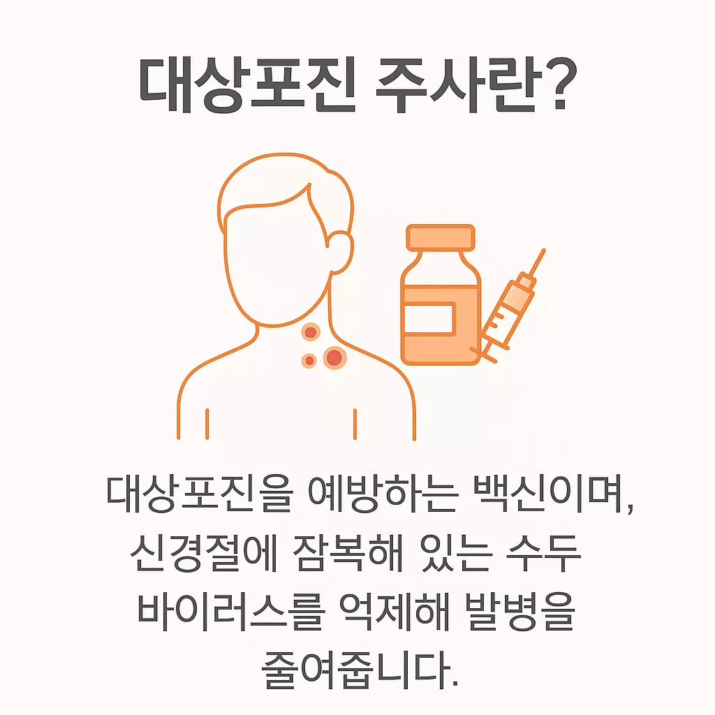 대상포진 주사 설명, 수두 바이러스 재활성화를 예방해 발병 위험을 줄이는 백신