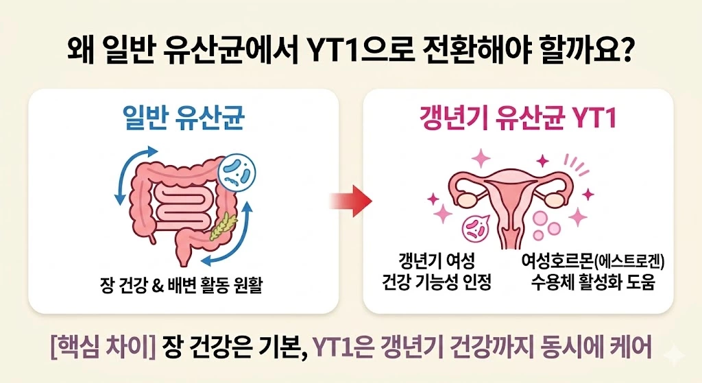 일반 장 건강 유산균과 갱년기 유산균 YT1 효능 차이 비교
